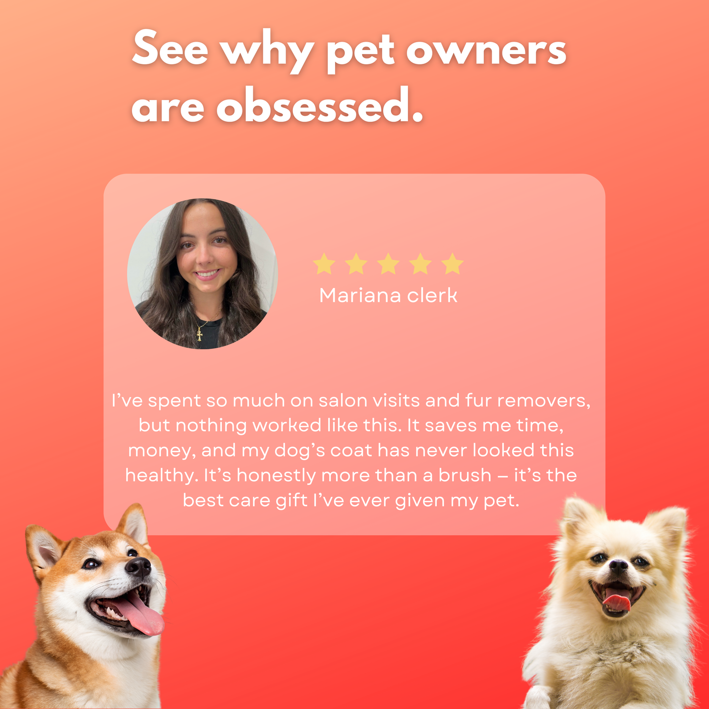 Furvana - Ultimate steam brush for dogs & cats